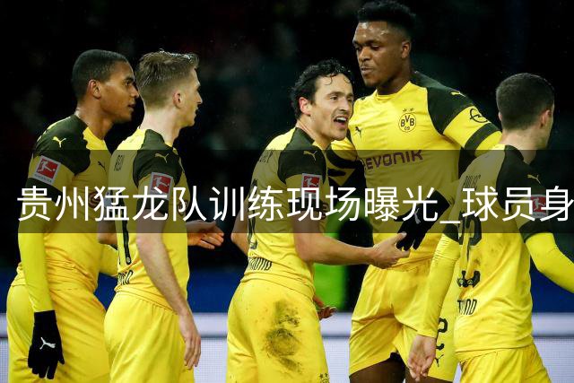 贵州猛龙队训练现场曝光 球员身着新款训练服亮相